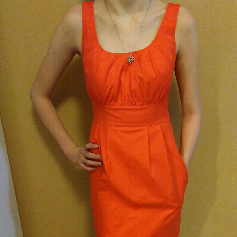 Perfect Fall J. Crew dress